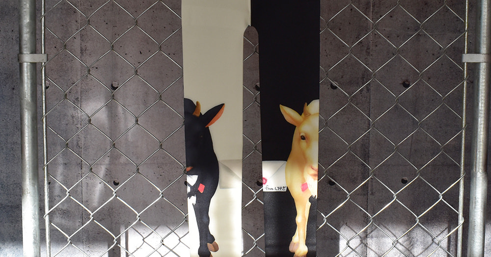 フルグラフィックタイツ